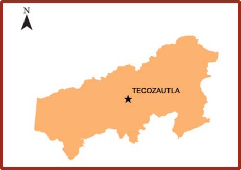 Municipio