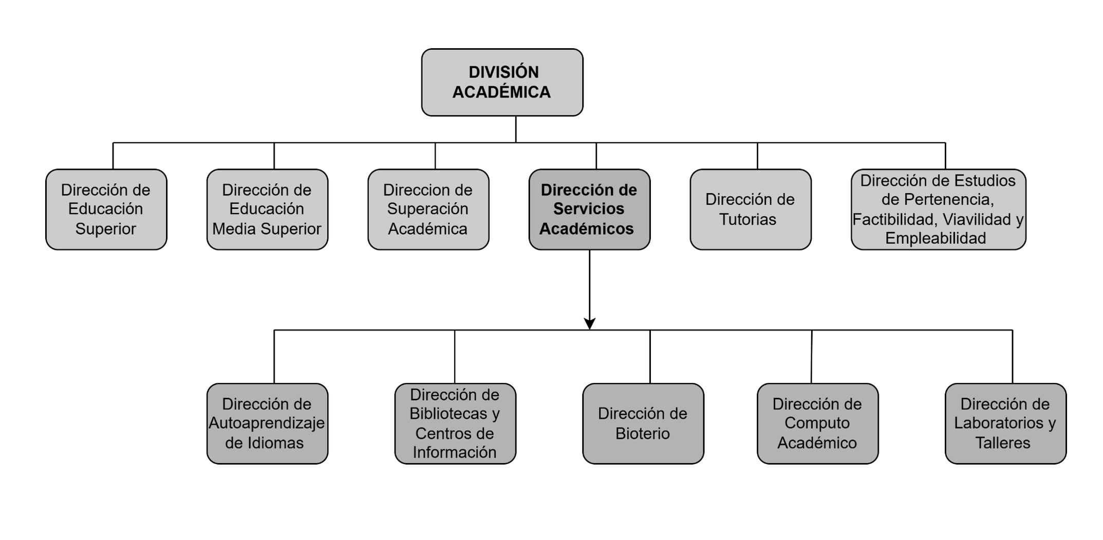 Estructura orgánica de la Dirección de Servicios Académicos y los Servicios Académicos