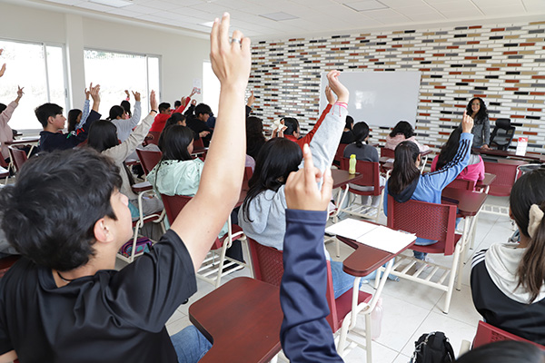 STEAM: la educación del futuro que une ciencia, arte e innovación 2
