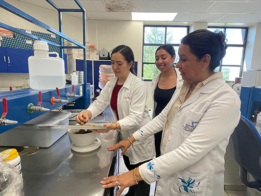 Comer natural, clave contra riesgos de procesados 4