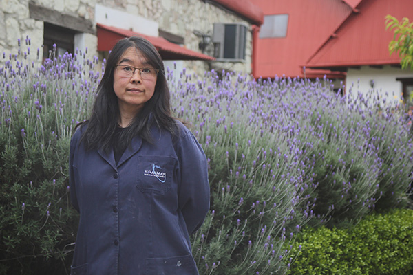 La enseñanza del arte como un intercambio cultural 2