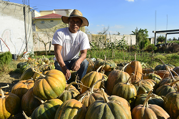 Semillas del Territorio: Raíces para resistir y reinventar el futuro 2