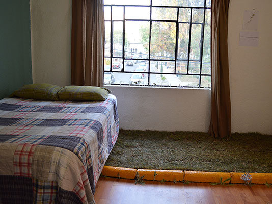 Ecoestética: cuando el arte florece del concreto G17