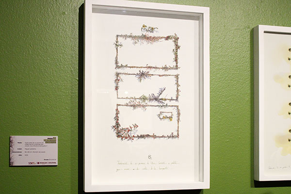 Ecoestética: cuando el arte florece del concreto G3