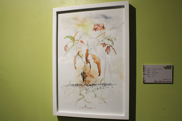 Ecoestética: cuando el arte florece del concreto G4